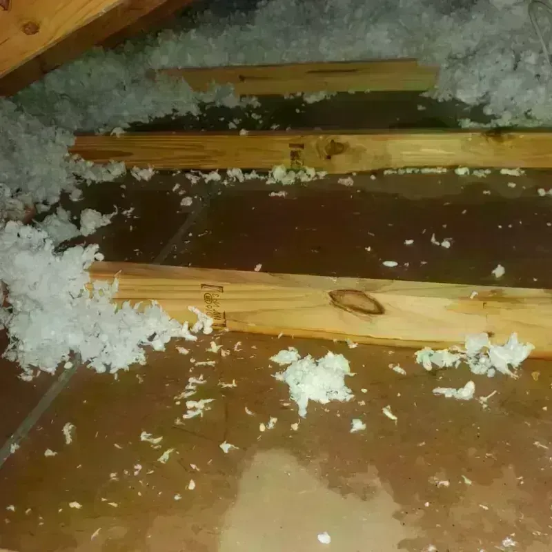 Attic Water Damage in Rancho Palos Verdes, CA